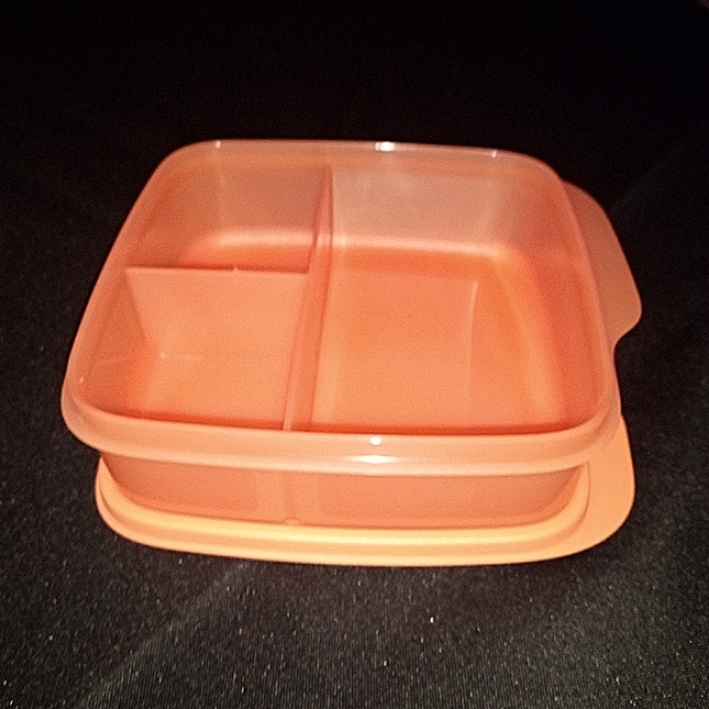 **BRAND NEW** TUPPERWARES DIVIDED LUNCH CONTAINER